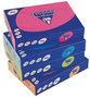 Chamois schrijfmachine papier A4 80gr, met PEFC certificaat.